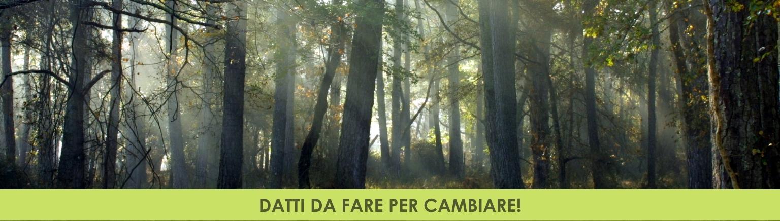 passeggiata nel bosco - banner